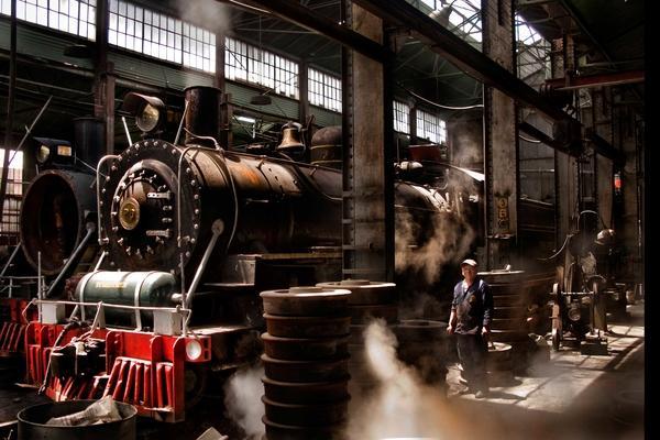 tren de la sabana fotografia